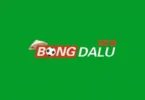 bongdalu livescore fast match results